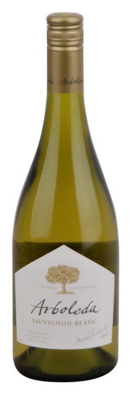 Arboleda Sauvignon Blanc 0,75L, r2013, bl, su