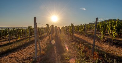 2018-09-27 Degustácia s vinárstvom Ostrožovič